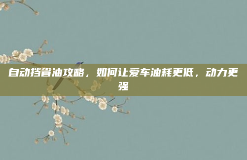 自动挡省油攻略，如何让爱车油耗更低，动力更强