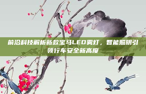 前沿科技解析新款宝马LED雾灯，智能照明引领行车安全新高度