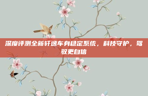 深度评测全新轩逸车身稳定系统,科技守护,驾驭更自信