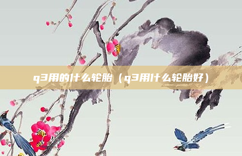 q3用的什么轮胎(q3用什么轮胎好)