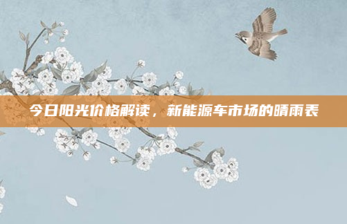 今日阳光价格解读，新能源车市场的晴雨表