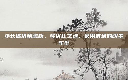 小长城价格解析，性价比之选，家用市场的明星车型