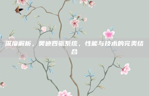 深度解析,奥迪四驱系统,性能与技术的完美结合