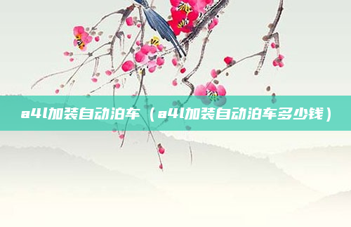 a4l加装自动泊车（a4l加装自动泊车多少钱）