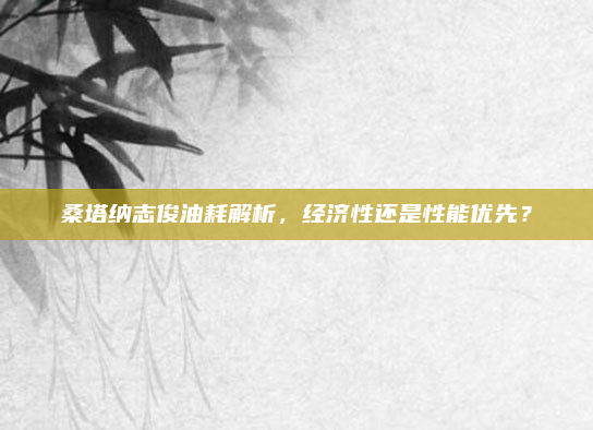 桑塔纳志俊油耗解析,经济性还是性能优先?