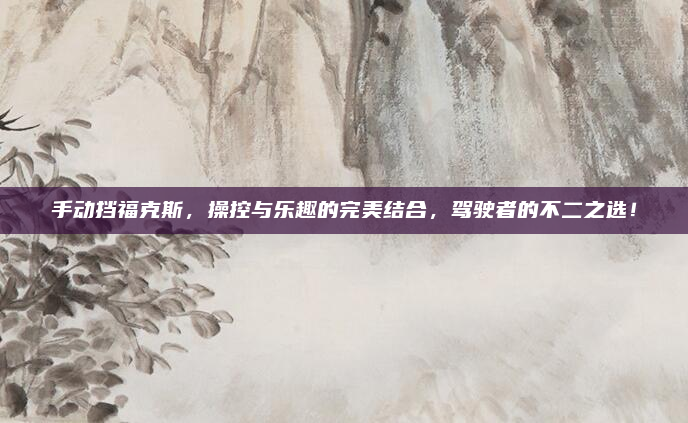 手动挡福克斯,操控与乐趣的完美结合,驾驶者的不二之选!