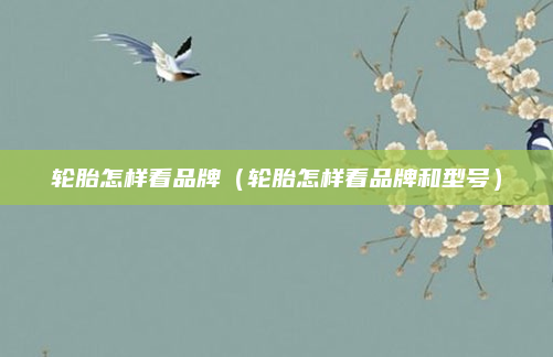 轮胎怎样看品牌(轮胎怎样看品牌和型号)