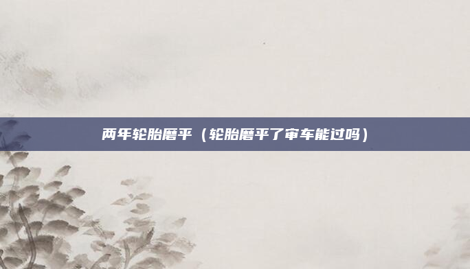两年轮胎磨平（轮胎磨平了审车能过吗）
