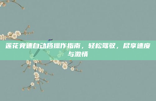 莲花竞速自动挡操作指南,轻松驾驭,尽享速度与激情