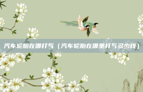 汽车轮胎在哪打气（汽车轮胎在哪里打气多少钱）