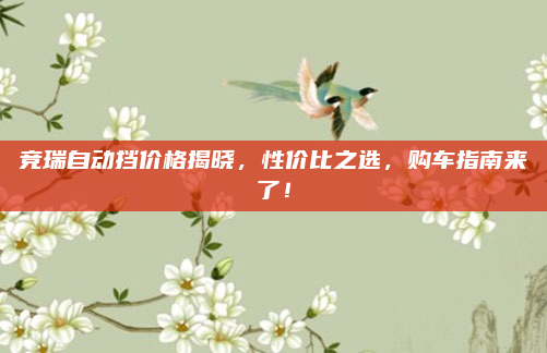 竞瑞自动挡价格揭晓,性价比之选,购车指南来了!