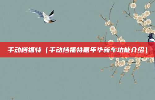 手动档福特(手动档福特嘉年华新车功能介绍)