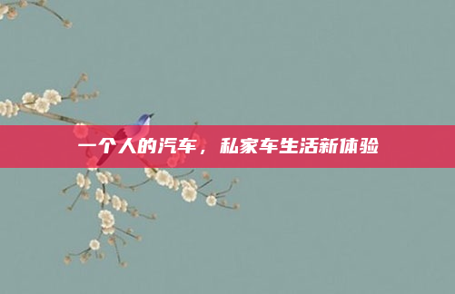 一个人的汽车，私家车生活新体验