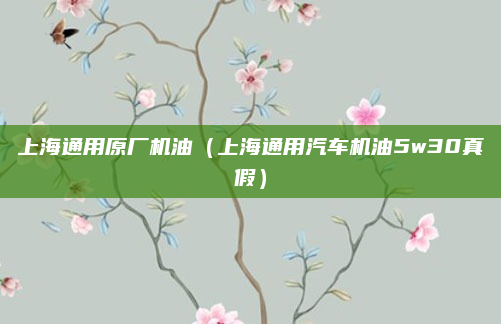 上海通用原厂机油(上海通用汽车机油5w30真假)