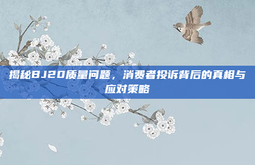 揭秘BJ20质量问题，消费者投诉背后的真相与应对策略