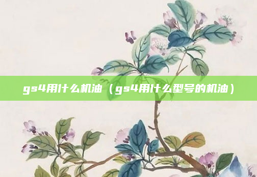 gs4用什么机油（gs4用什么型号的机油）