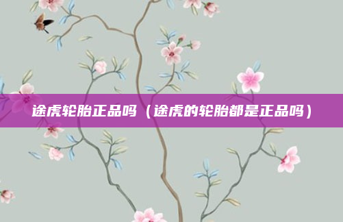 途虎轮胎正品吗(途虎的轮胎都是正品吗)