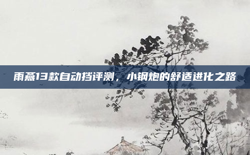 雨燕13款自动挡评测，小钢炮的舒适进化之路