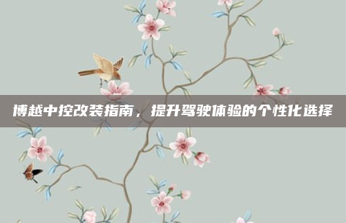 博越中控改装指南，提升驾驶体验的个性化选择