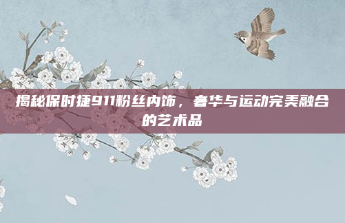 揭秘保时捷911粉丝内饰，奢华与运动完美融合的艺术品