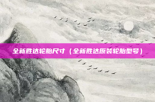 全新胜达轮胎尺寸(全新胜达原装轮胎型号)