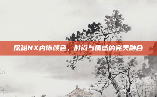 探秘NX内饰颜色，时尚与质感的完美融合