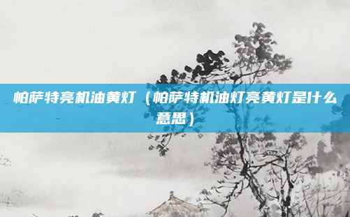 帕萨特亮机油黄灯(帕萨特机油灯亮黄灯是什么意思)
