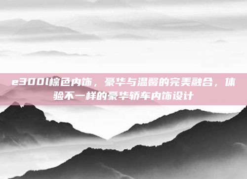 e300l棕色内饰,豪华与温馨的完美融合,体验不一样的豪华轿车内饰设计