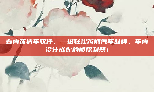 看内饰猜车软件，一招轻松辨别汽车品牌，车内设计成你的侦探利器！