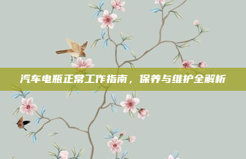 汽车电瓶正常工作指南，保养与维护全解析