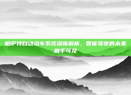 帕萨特自动泊车系统深度解析，智能驾驶的未来触手可及