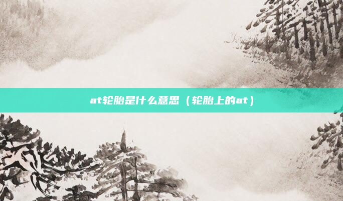 at轮胎是什么意思(轮胎上的at)