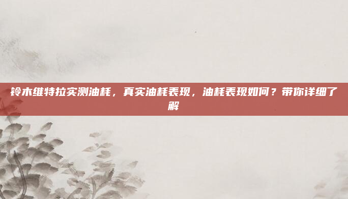 铃木维特拉实测油耗，真实油耗表现，油耗表现如何？带你详细了解