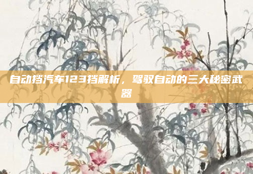 自动挡汽车123挡解析，驾驭自动的三大秘密武器