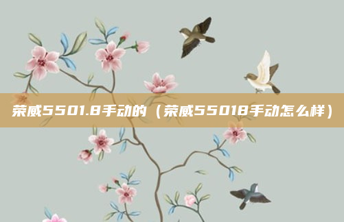 荣威5501.8手动的（荣威55018手动怎么样）