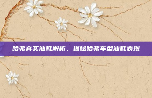 哈弗真实油耗解析，揭秘哈弗车型油耗表现