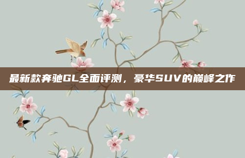 最新款奔驰GL全面评测,豪华SUV的巅峰之作