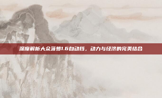 深度解析大众菠萝1.6自动挡,动力与经济的完美结合