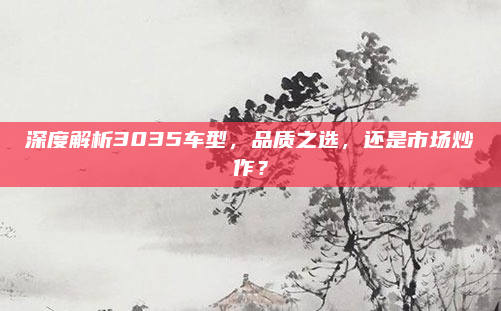 深度解析3035车型，品质之选，还是市场炒作？