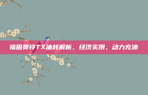 福田奥铃TX油耗解析，经济实用，动力充沛