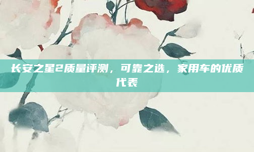 长安之星2质量评测，可靠之选，家用车的优质代表