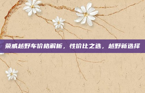 荣威越野车价格解析，性价比之选，越野新选择