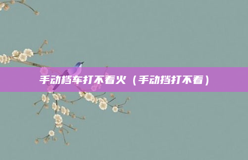 手动档车打不着火(手动挡打不着)