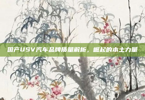 国产USV汽车品牌质量解析，崛起的本土力量