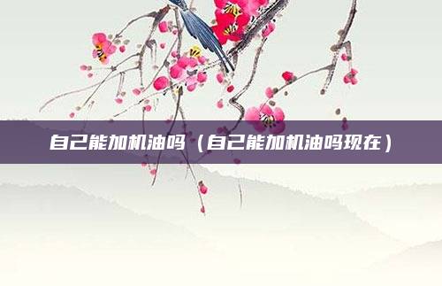 自己能加机油吗(自己能加机油吗现在)