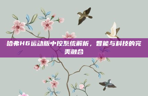 哈弗H6运动版中控系统解析，智能与科技的完美融合