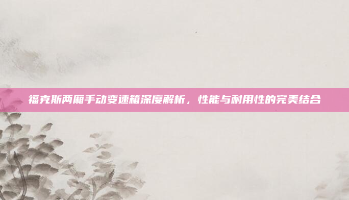 福克斯两厢手动变速箱深度解析，性能与耐用性的完美结合