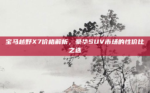 宝马越野X7价格解析，豪华SUV市场的性价比之选