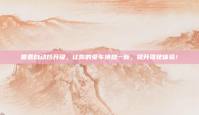世嘉自动挡升级，让你的爱车焕然一新，提升驾驶体验！