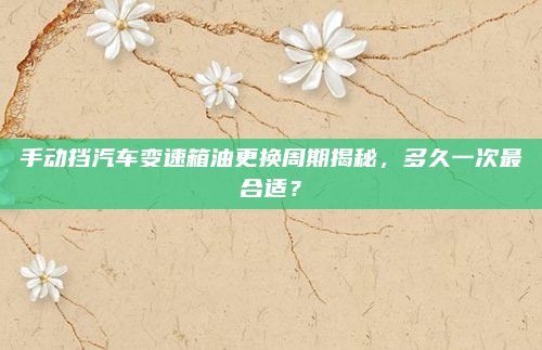 手动挡汽车变速箱油更换周期揭秘,多久一次最合适?